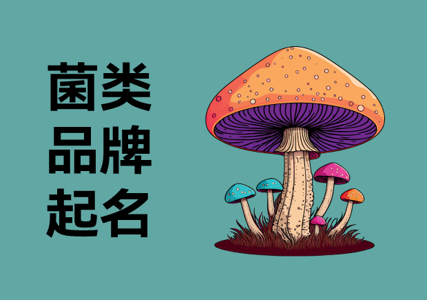 菌界新風(fēng)尚：揭秘菌類品牌起名的獨(dú)門秘籍